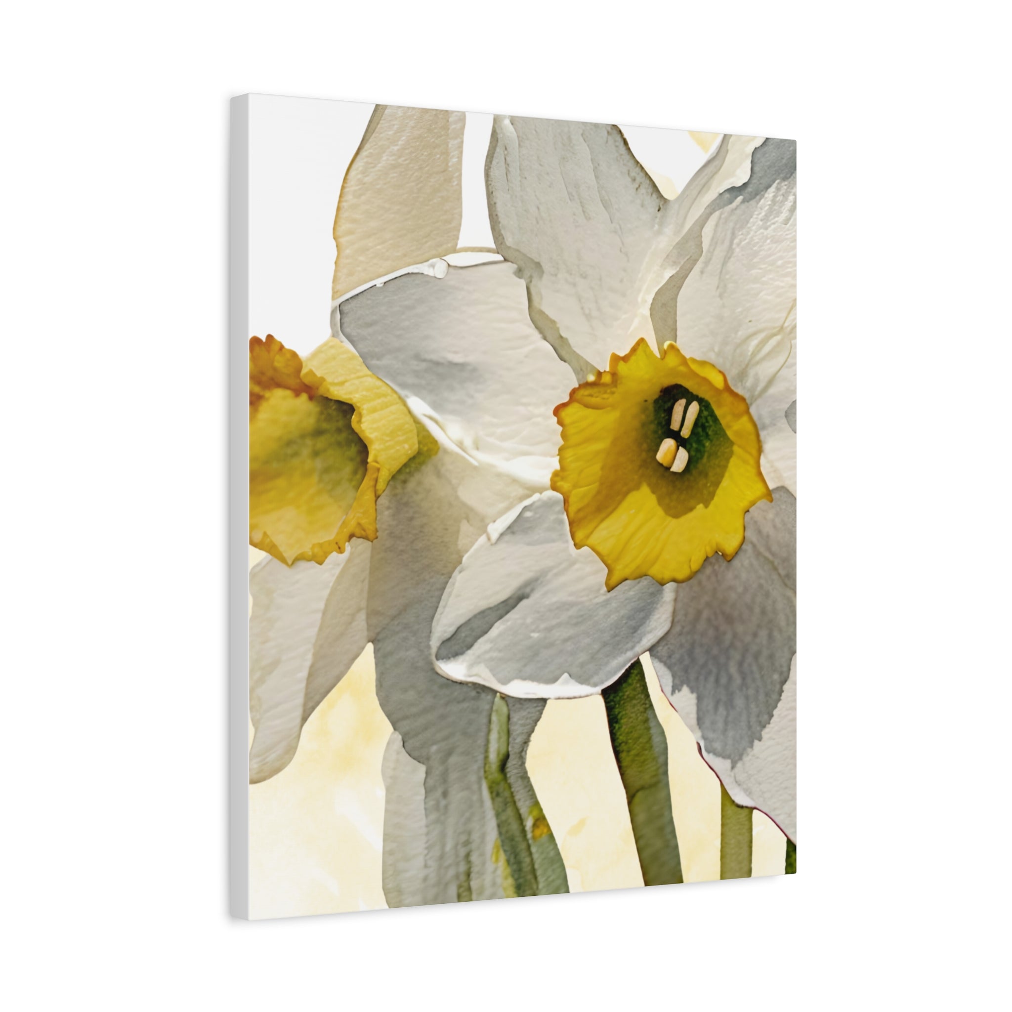 Canvas Print - Watercolor Daffodil 24 x18, 20 x 24, 24 x30