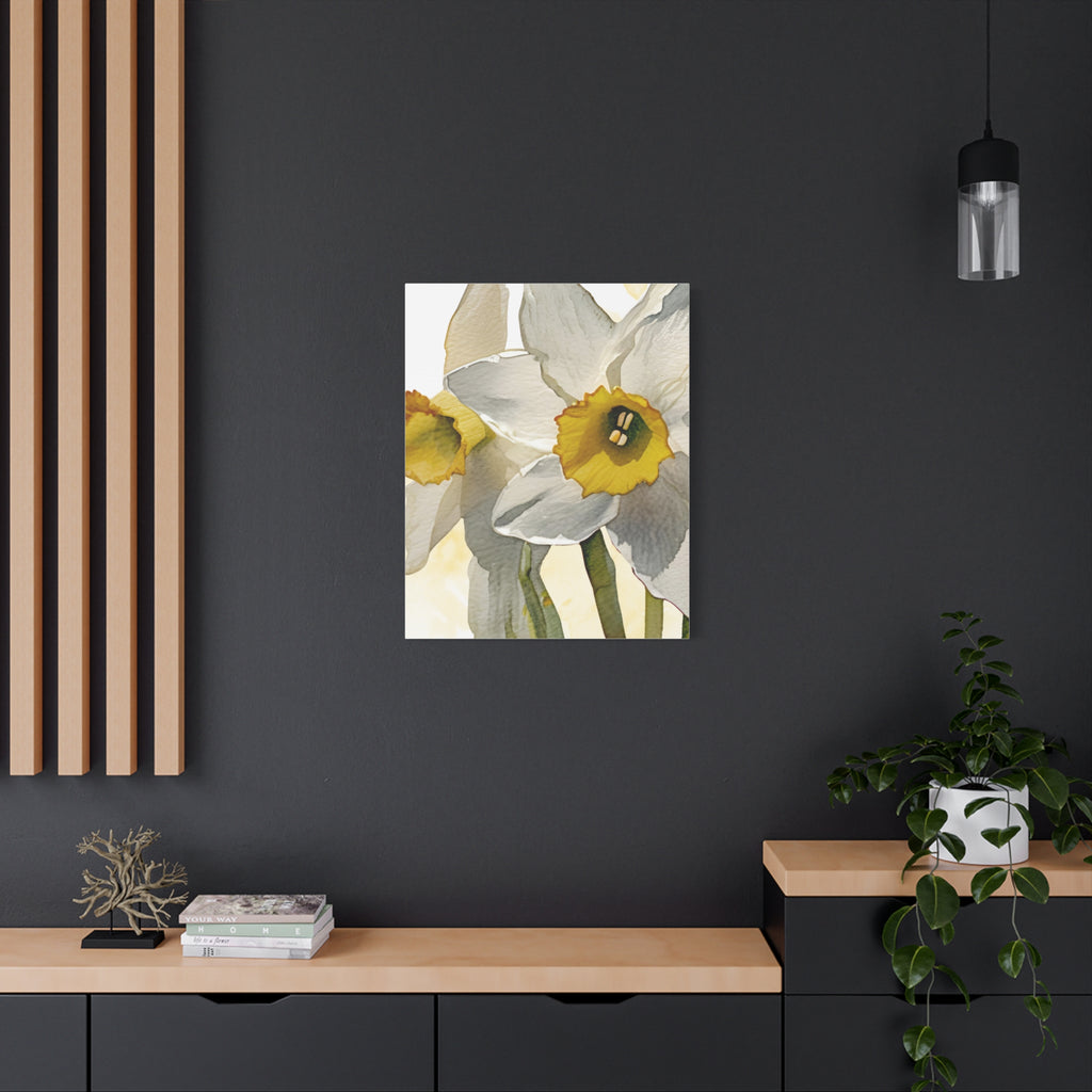 Canvas Print - Watercolor Daffodil 24 x18, 20 x 24, 24 x30