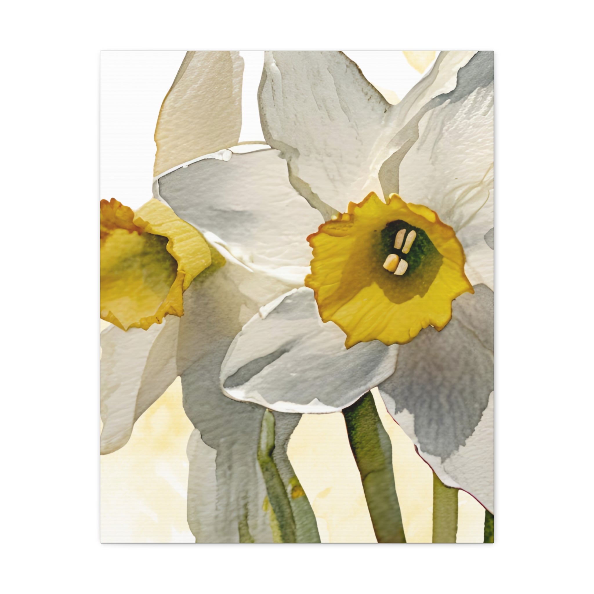 Canvas Print - Watercolor Daffodil 24 x18, 20 x 24, 24 x30