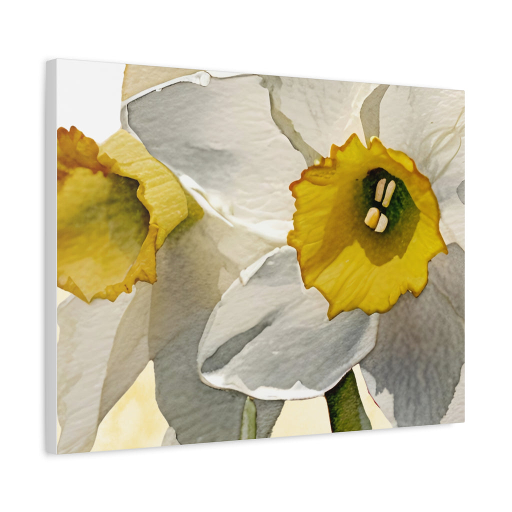 Canvas Print - Watercolor Daffodil 24 x18, 20 x 24, 24 x30