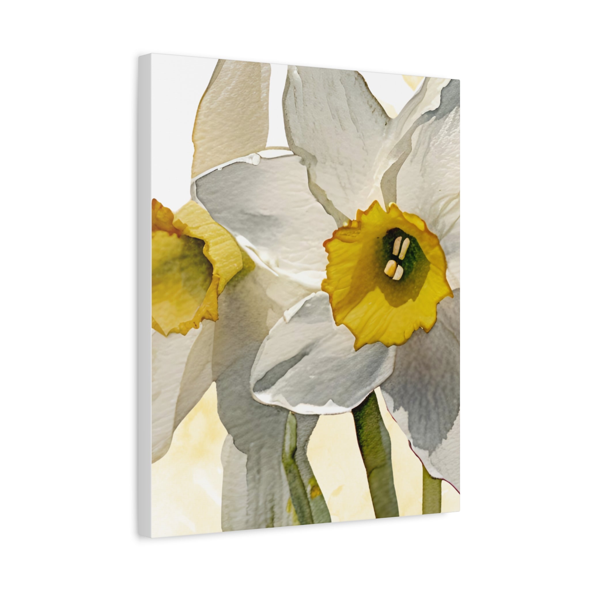 Canvas Print - Watercolor Daffodil 16 x 20