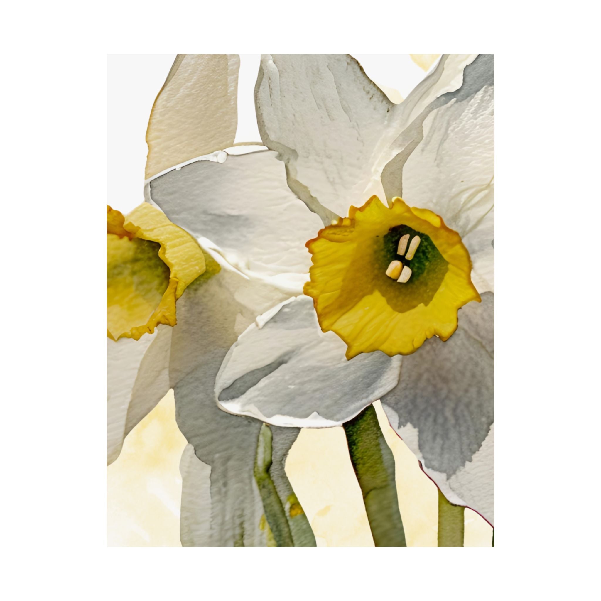 Vertical Poster - Watercolor Daffodils multiple sizes