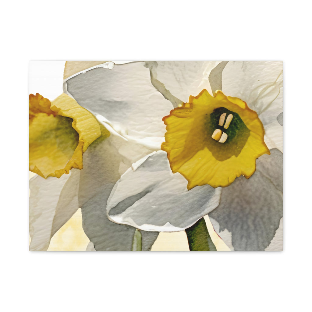 Canvas Print - Watercolor Daffodil 24 x18, 20 x 24, 24 x30