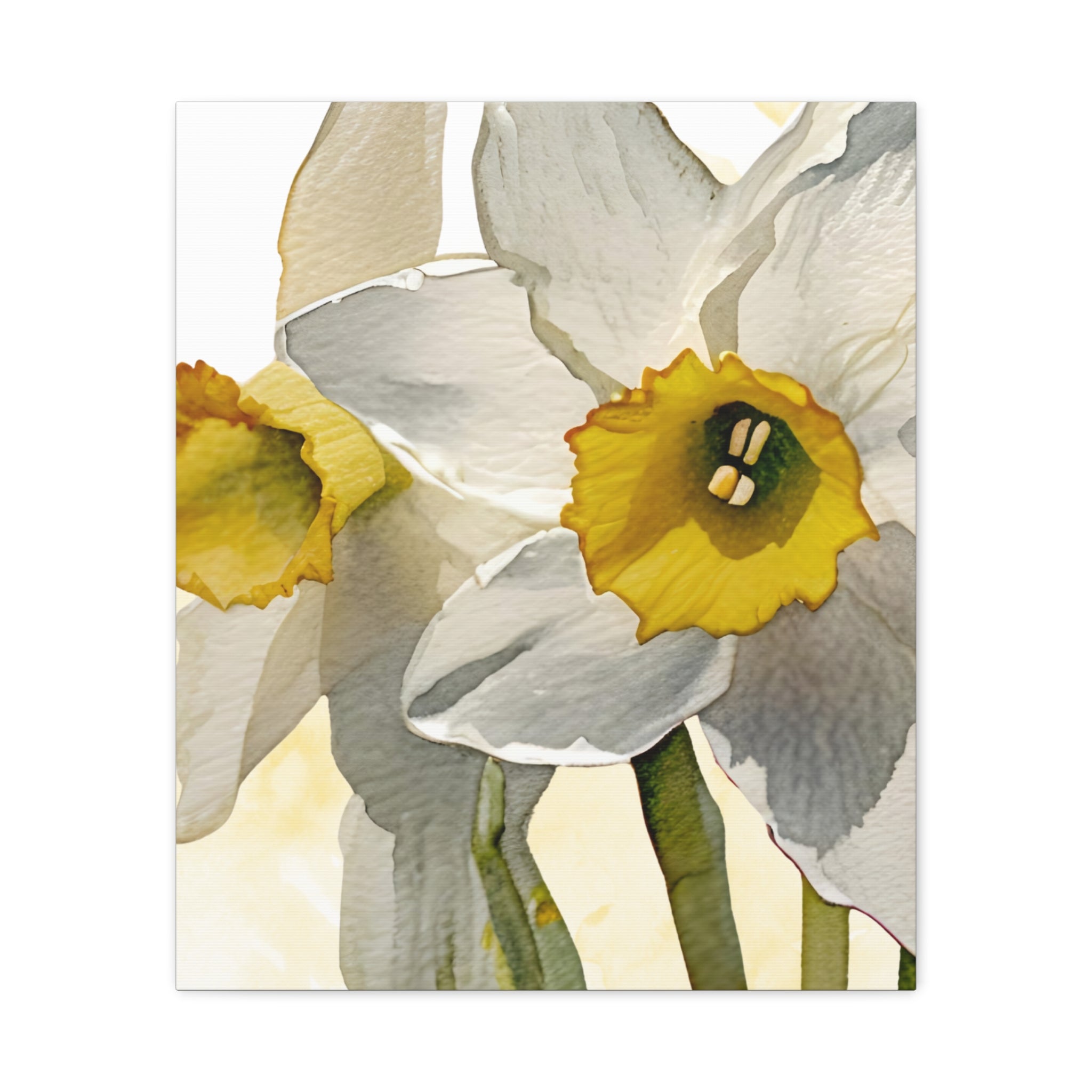 Canvas Print - Watercolor Daffodil 24 x18, 20 x 24, 24 x30